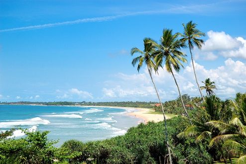 Ajurweda na plaży Sri Lanki