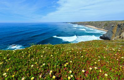 Łąka kwiatowa i wybrzeże Algarve, Portugalia